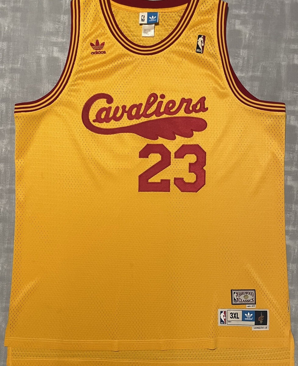 Rare Adidas HWC NBA Cleveland Cavaliers LeBron James Basketball