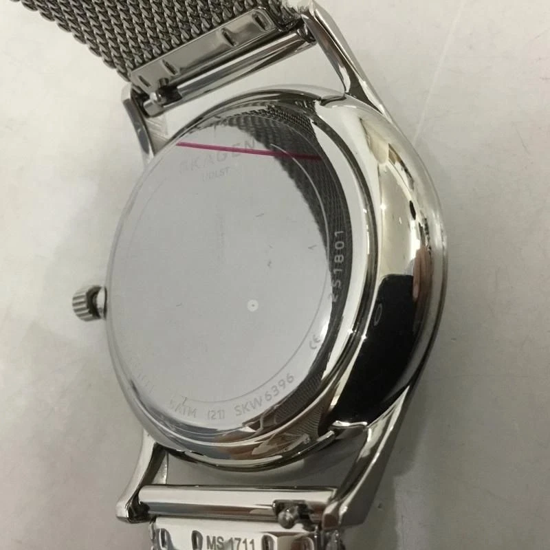 Skagen SKW6396 Holst 石英手表 模拟男士带盒 日本制造 — 第 4/4 张图片