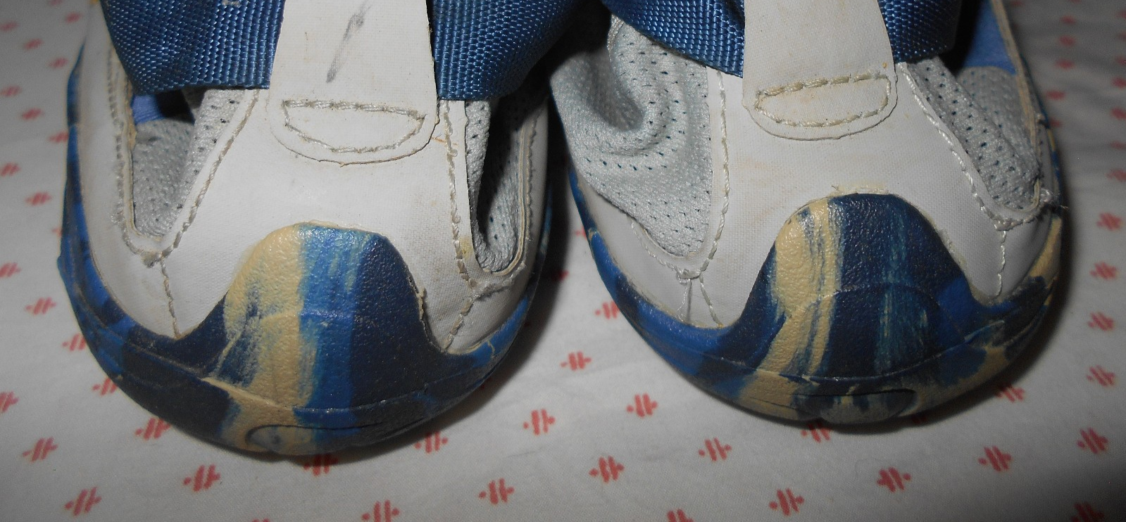 Picture 7 of 8