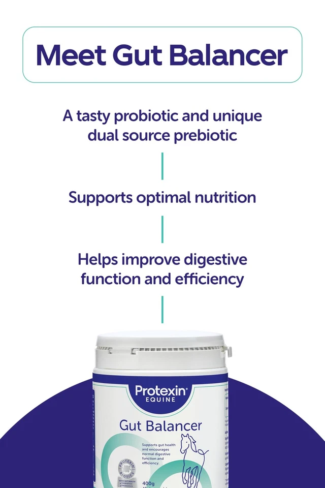 Horse Gut Balancer 700g | Advanced Digestive Support Supplement - Image 4 of 4