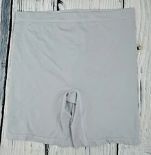 Breezies Seamless Long Leg Control Panty Shapewear Girdle Shaper Silver Plus 2X