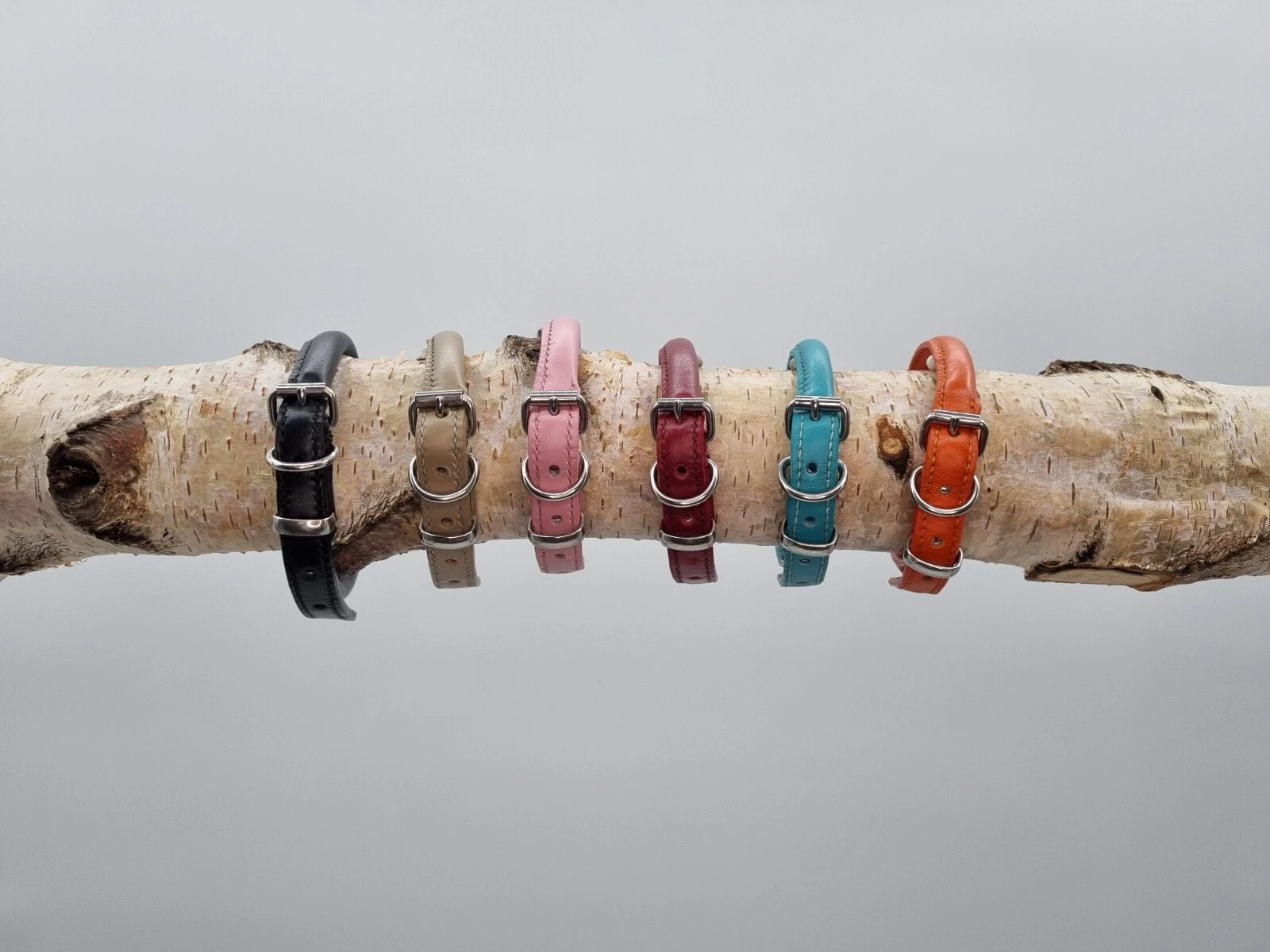 Leather Rollneck Buckle Dog Collars - MADE IN THE UK