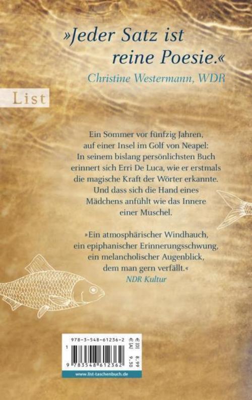 Thumbnail - Fische Schließen Nie Die Augen