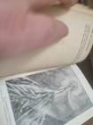 Foto 13 di 18