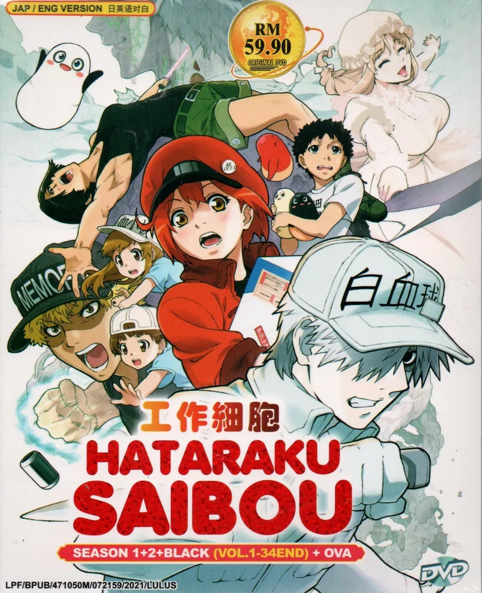 Anime DVD Hataraku Saibou Season 1+2+Black (Vol.1-34 End) + OVA English  Dubbed