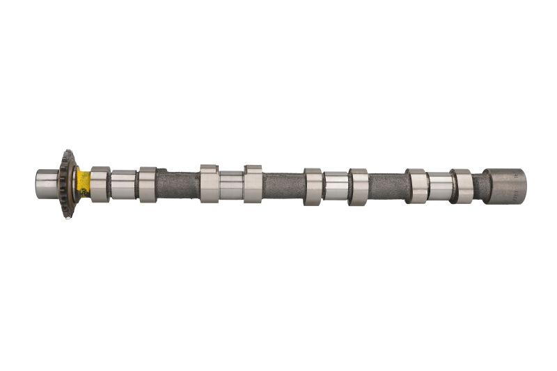 2x ✅Fits KOLBENSCHMIDT 50 007 707 Camshaft 50 007 707 Camshaft (inta ⭐UK Seller⭐
