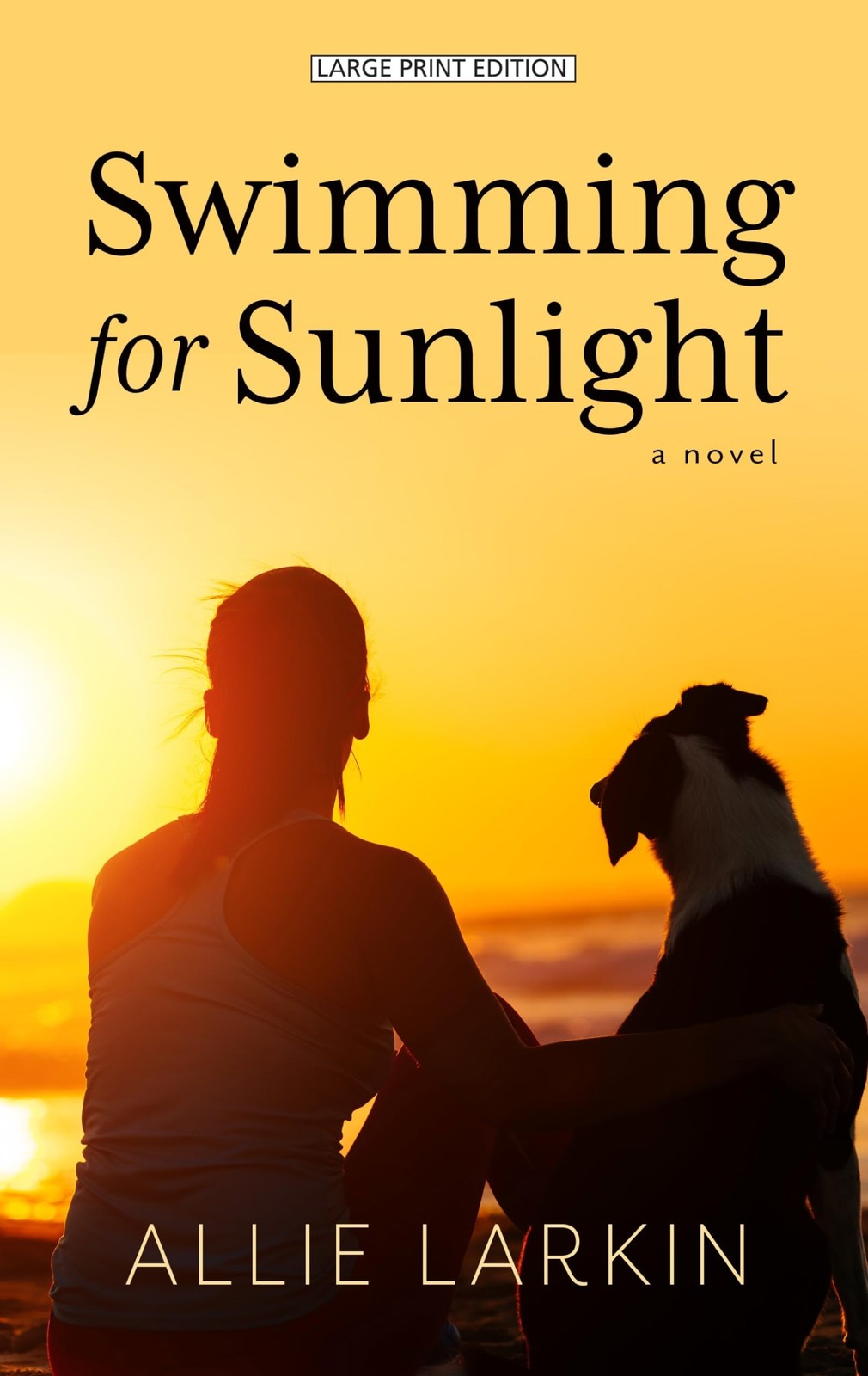 Swimming for Sunlight by Allison Larkin - Hardcover 2019 - VERY GOOD ...