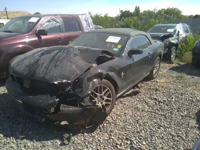 2012 mustang antenna deals