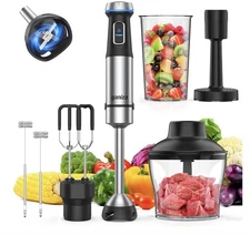 Ganiza Immersion Blender Handheld, 6 in 1 Hand Stainless Steel Black