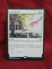 Magic: The Gathering Trading Card Games in Chinese Individual Rare