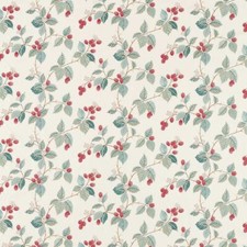 Sanderson Rubus Raspberry 0.9m Fabric