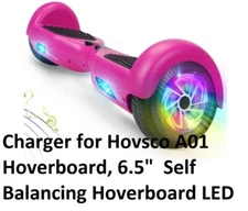 🔥29.4V AC Adapter For Hovsco A01 24V 6.5" LED Electric Self Balancing Scooter