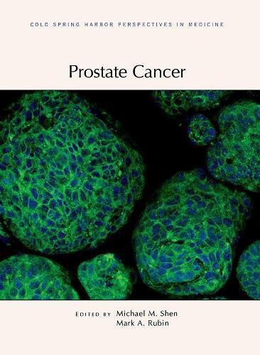 Thumbnail - Prostate Cancer (gebundene Ausgabe) Perspectives Cshl (us Import)