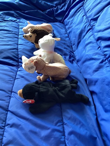 Ty Beanie Baby Mixed Lot of 5 - Pre-owned - Picture 3 of 16