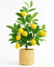 23 Inch Artificial Lemon Tree with Woven Basket, Faux Lemon Decor for Kitchen...