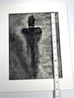 Picture 14 of 14