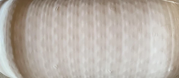 AVOCADO GREEN MATTRESS KING SIZE 76" X 80" 100% ORGANIC SFMAVA1STTRG-70