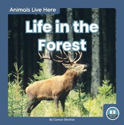 Connor Stratton Life in the Forest (Paperback) Animals Live Here (UK IMPORT)