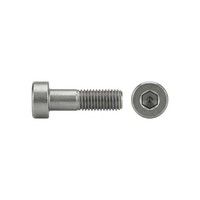 DIN 6912 Zylinderkopf-Schaftschraube Niedrige Form M20X45 Stahl 8.8 Galvanisch