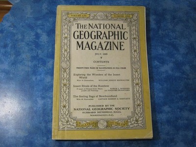 ANTIQUE NATIONAL GEOGRAPHIC July 1929 WONDERS OF INSECT WORLD Newfoundland Seals