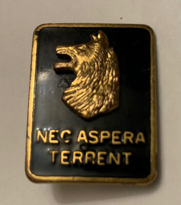 NEC Aspera Terrent Vintage Pin