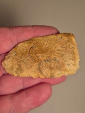 Florida Georgia  Arrowhead Artifact Paleo Blade