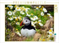 Calvendo Puzzle Papageitaucher Am Latrabjarg | 1000 Teile Lege-GrößE 64X48Cm Fot