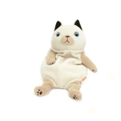 mochineko cat