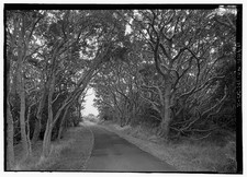 Mauna Loa Road,Volcano,Hawaii County,HI,Hawaii,Historic Engineering Record,2