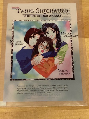 You're Under Arrest Vinyl File Folder - Bild 1 von 2