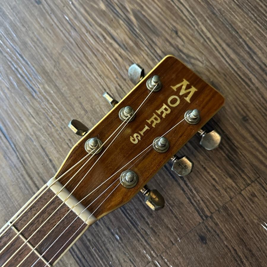 Morris アコースティックギター MD 520 Morris MD-520 Dreadnaought Acoustic Guitar Made in Japan | eBay