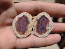 Berrendo (Red Hots) Agate Polished Thundereggs From Mexico