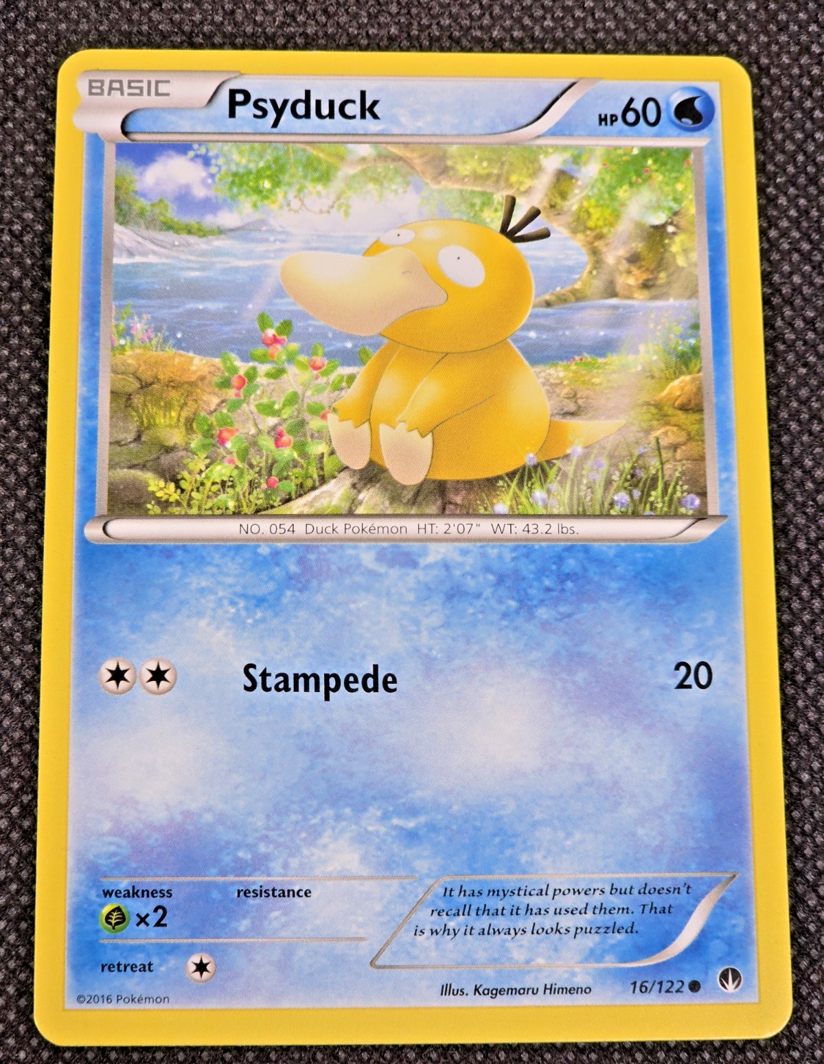 Psyduck 16/122 Common XY - BREAKpoint Pokémon Card LP -- L40