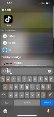TIK TOK Apple iPhone 13 Pro Max - 1 TB - Gold (Unlocked)
