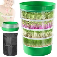 Microgreens Growing Kit with Drain Tray & Lid Soil-Free Seedling Box
