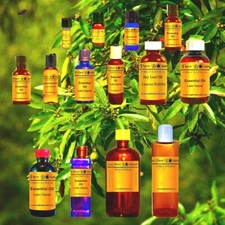Bay Laurel Essential Oil 100% Pure - Premium Therapeutic Grade | 3ml - 32oz