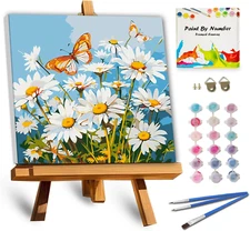 Framed Paint by Numbers Kit for Adults, Daisy Paint by Number Framed,Adult Paint