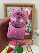 SONY Cyber-shot DSC-WX200 18.2 MP 10x Optical Zoom Digital Camera Pink English