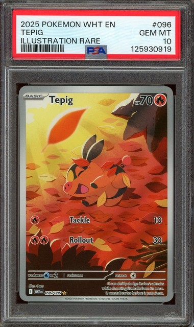 Tepig #96 (White Flare (2025))