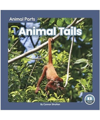 Animal Tails, Connor Stratton