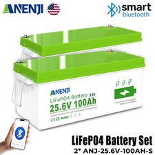 2 25.6V 100AH Lithium Battery 24V LiFePO4 100A BMS Bluetooth 48V in sereies