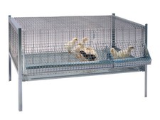 GABBIE PULCINI  ANTITOPO         -230.02