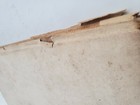 Bild 12 von 12