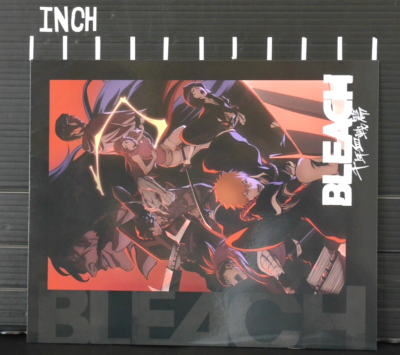 Tite Kubo: Bleach: Thousand-Year Blood War Photo Book + Postcard