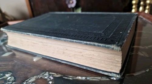 On The Origin Of Civilisation And Primitive Condition Of Man- 1902 Hardback Book - Picture 24 of 24