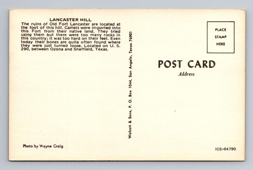 Postal de recuerdo antigua de Sheffield TX-Texas, Lancaster Hill - Imagen 2 de 2