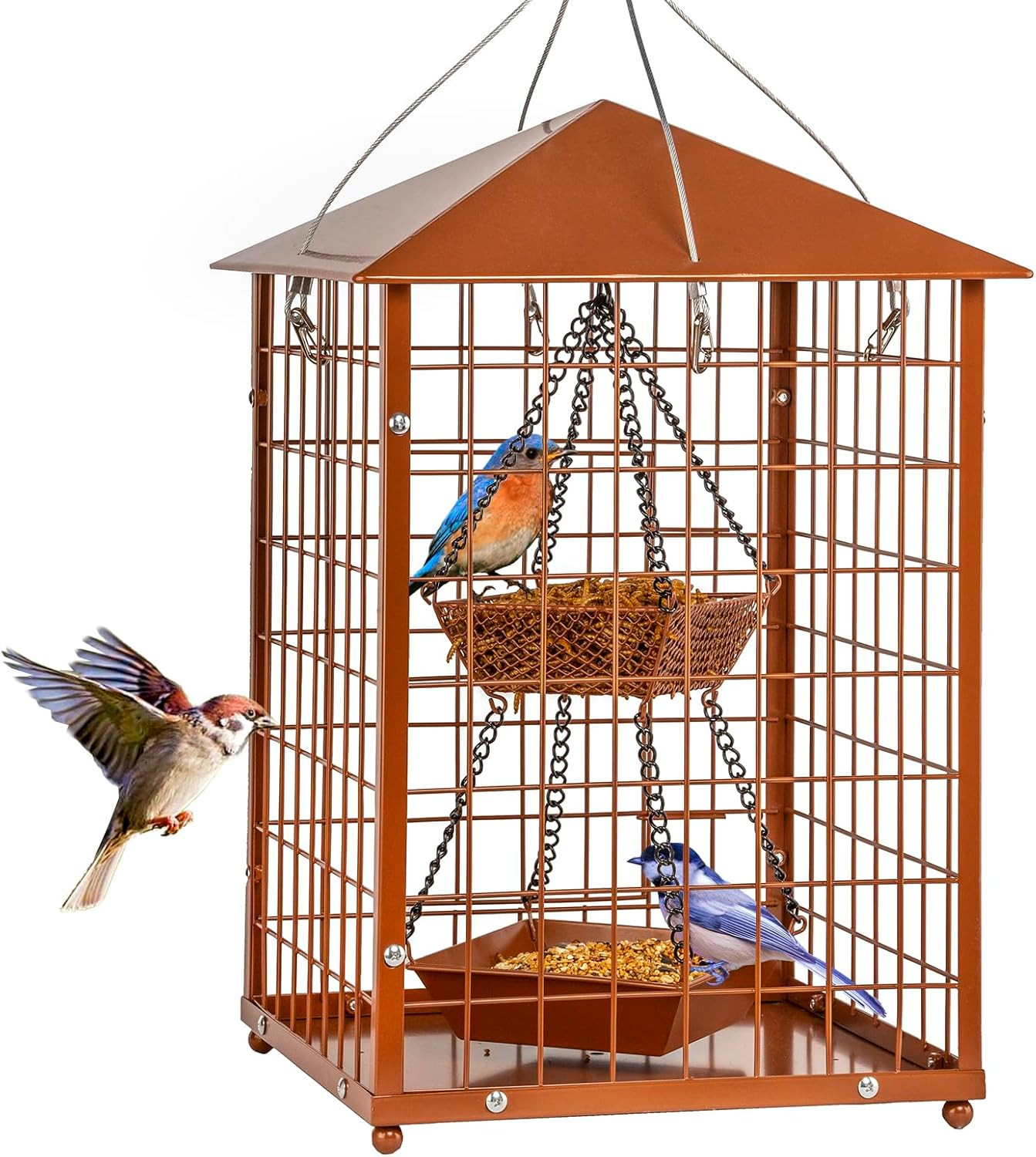 S For Bluebirds - Metal - Huge Caged Squirrel-proof Bird Fe