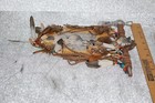 Bild 4 von 6