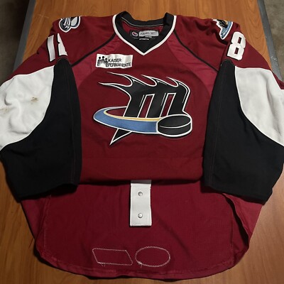 Game Worn Bryan Marshall Cleveland Lake Erie Monsters AHL Hockey Jersey  Used 56 | eBay
