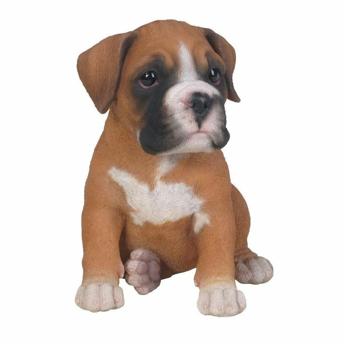 Boxer puppies for hotsell sale trading post